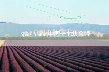 塔城中国十七块金牌