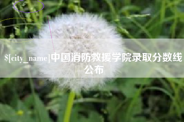塔城中国消防救援学院录取分数线公布