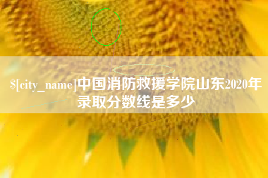 塔城中国消防救援学院山东2020年录取分数线是多少