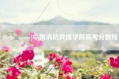 塔城中国消防救援学院高考分数线