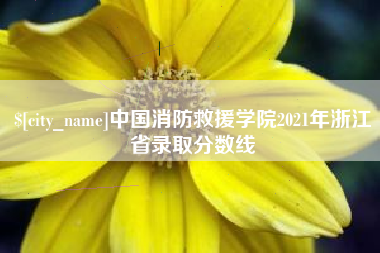 塔城中国消防救援学院2021年浙江省录取分数线