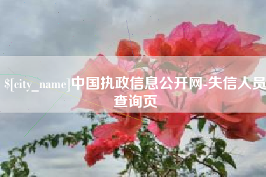 塔城中国执政信息公开网-失信人员查询页