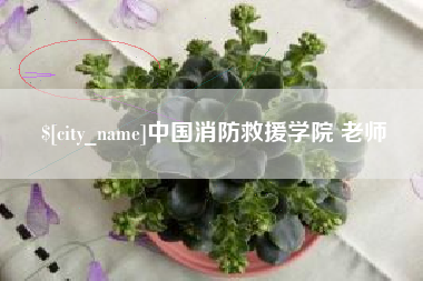 塔城中国消防救援学院 老师