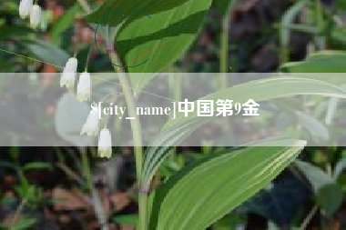 塔城中国第9金
