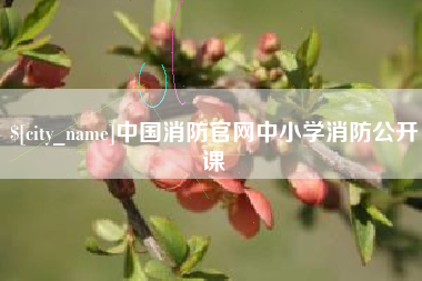 塔城中国消防官网中小学消防公开课