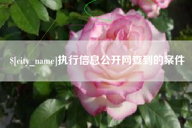 塔城执行信息公开网查到的案件