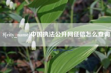 塔城中国执法公开网征信怎么查询