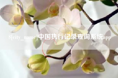 塔城中国执行记录查询系统app