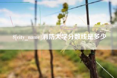 塔城消防大学分数线是多少