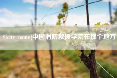 塔城中国消防救援学院在那个地方