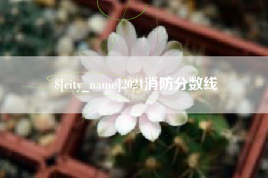 塔城2021消防分数线