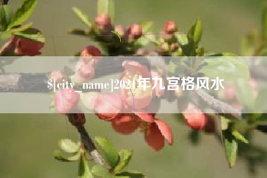 塔城2021年九宫格风水