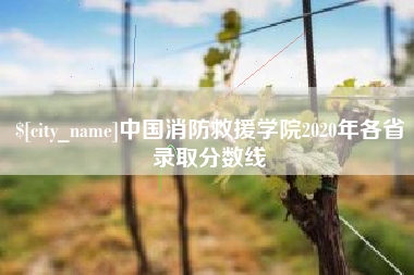 塔城中国消防救援学院2020年各省录取分数线