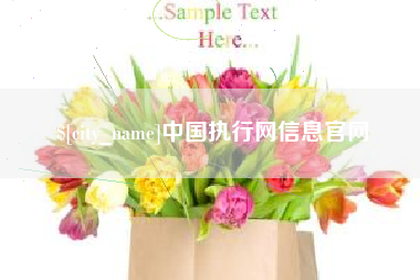 塔城中国执行网信息官网