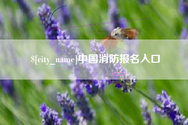 塔城中国消防报名入口