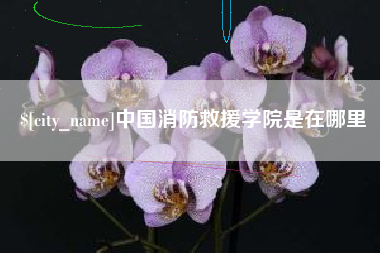 塔城中国消防救援学院是在哪里