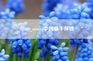 塔城中国最牛保镖