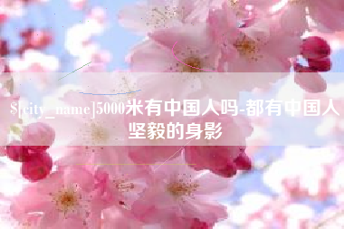 塔城5000米有中国人吗-都有中国人坚毅的身影