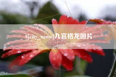 塔城九宫格龙图片