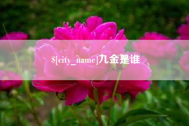 塔城九金是谁