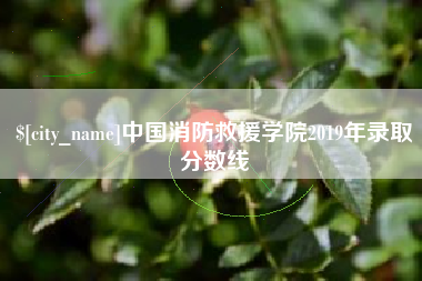 塔城中国消防救援学院2019年录取分数线