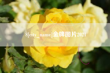 塔城金牌图片2021