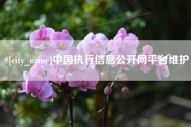 塔城中国执行信息公开网平台维护