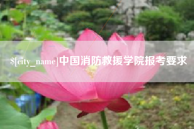 塔城中国消防救援学院报考要求