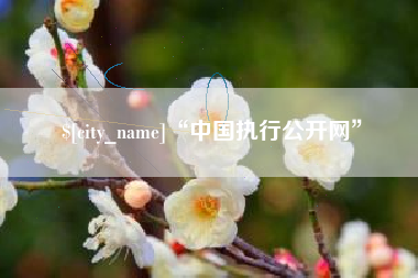塔城“中国执行公开网”