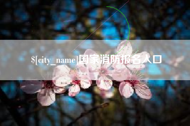 塔城国家消防报名入口