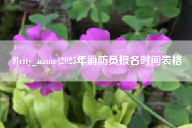 塔城2025年消防员报名时间表格