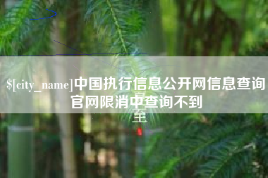 塔城中国执行信息公开网信息查询官网限消中查询不到
