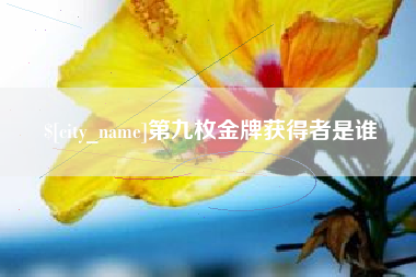 塔城第九枚金牌获得者是谁