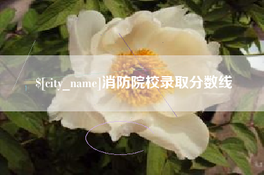 塔城消防院校录取分数线