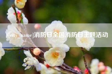 塔城消防日全国消防日主题活动