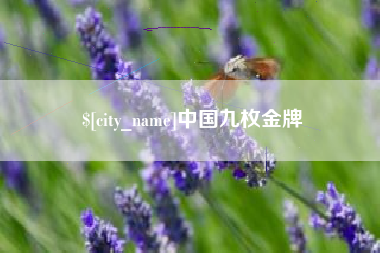 塔城中国九枚金牌