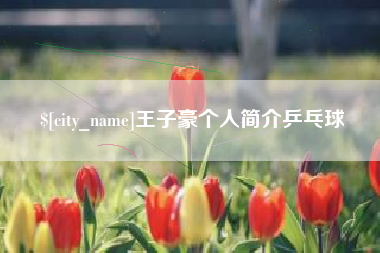 塔城王子豪个人简介乒乓球
