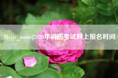 塔城2020年消防考试网上报名时间