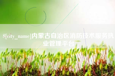 塔城内蒙古自治区消防技术服务执业管理平台