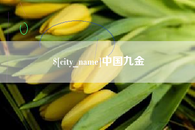 塔城中国九金