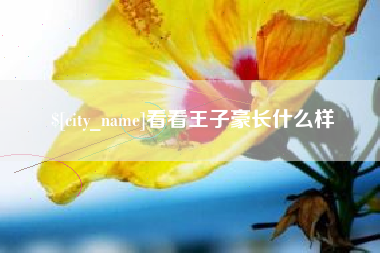 塔城看看王子豪长什么样