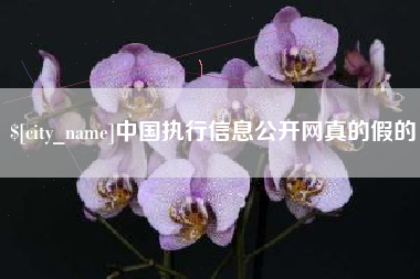 塔城中国执行信息公开网真的假的