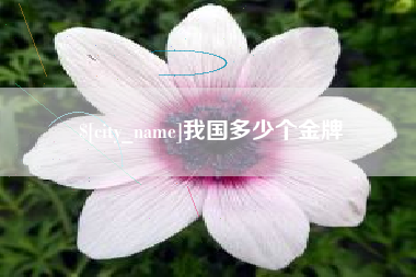 塔城我国多少个金牌