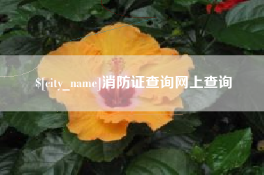 塔城消防证查询网上查询