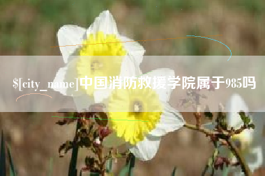 塔城中国消防救援学院属于985吗