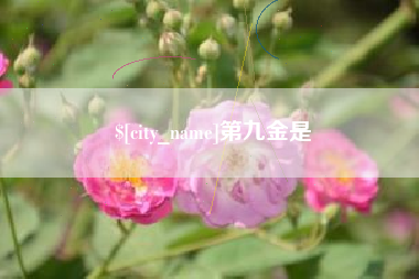 塔城第九金是