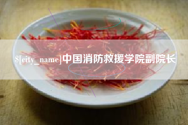 塔城中国消防救援学院副院长
