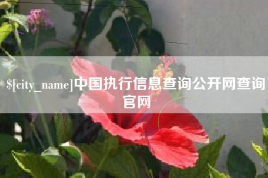塔城中国执行信息查询公开网查询官网