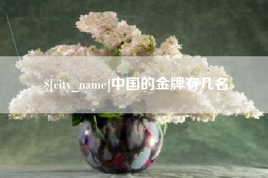 塔城中国的金牌有几名
