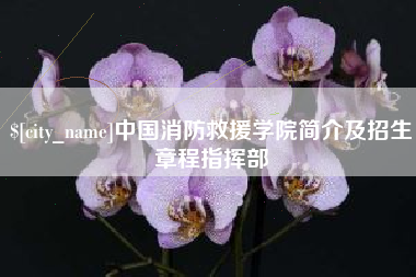 塔城中国消防救援学院简介及招生章程指挥部